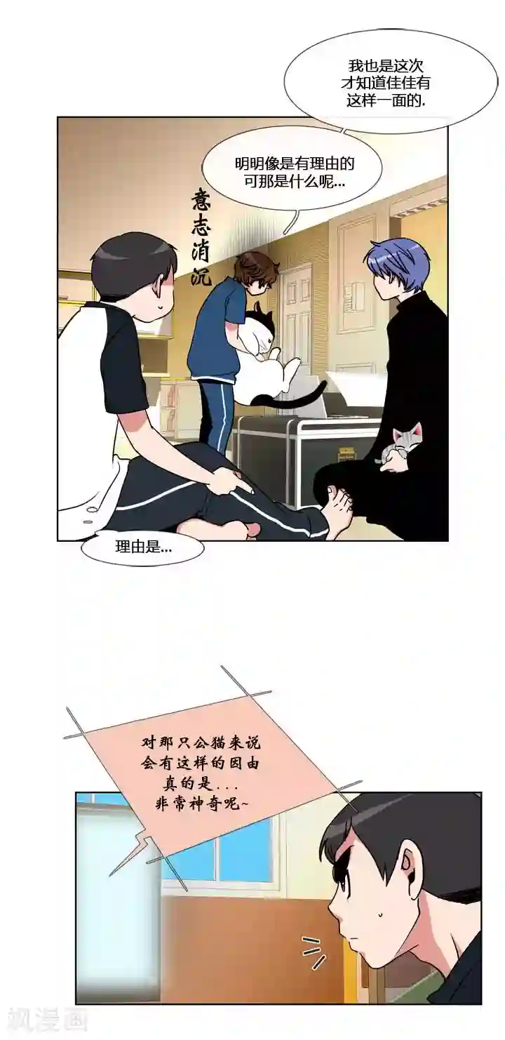 ICE-Cold要员的捡猫事件第53话