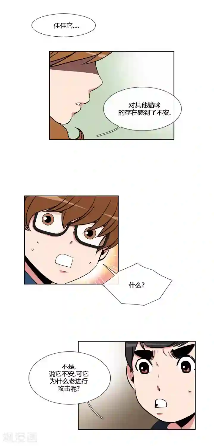 ICE-Cold要员的捡猫事件第54话