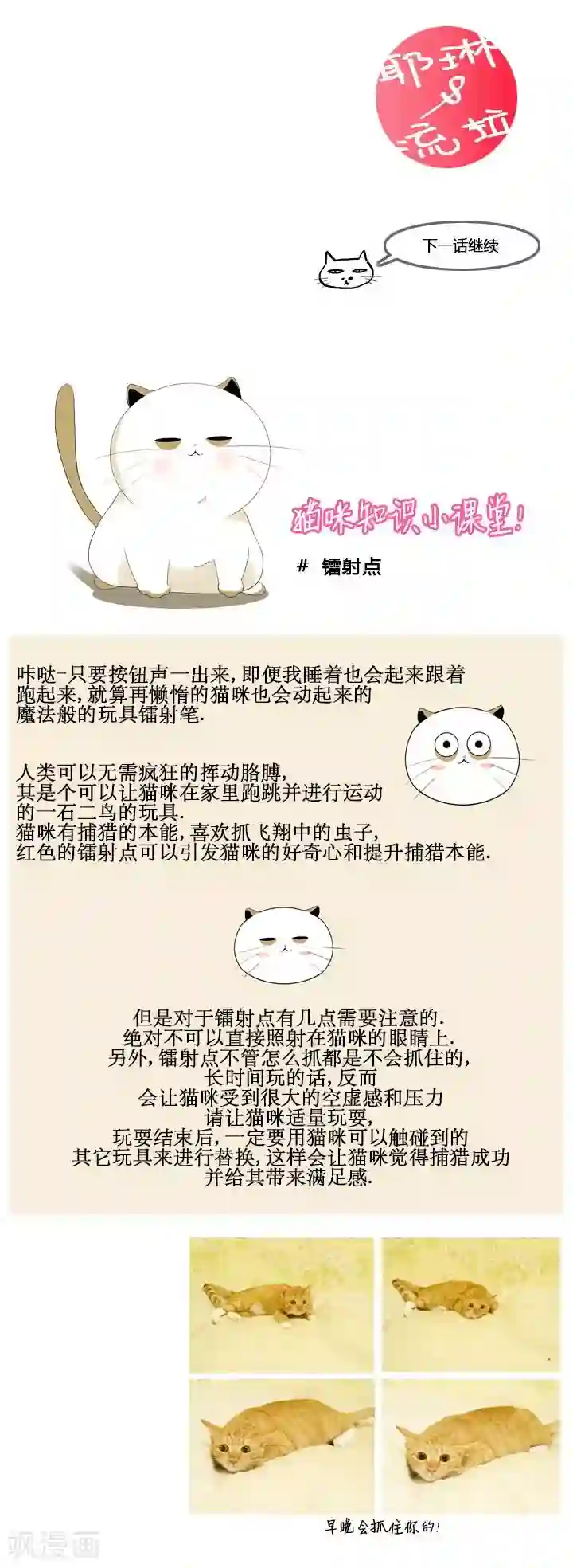 ICE-Cold要员的捡猫事件第55话