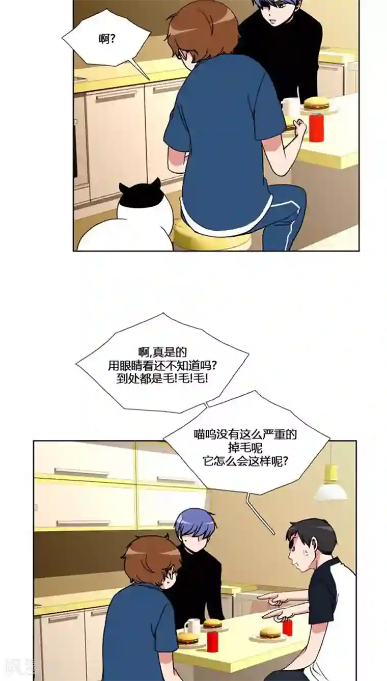 ICE-Cold要员的捡猫事件第56话