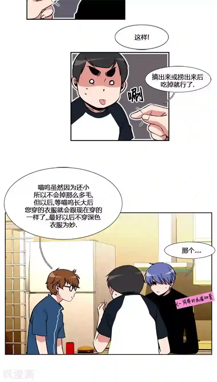 ICE-Cold要员的捡猫事件第56话