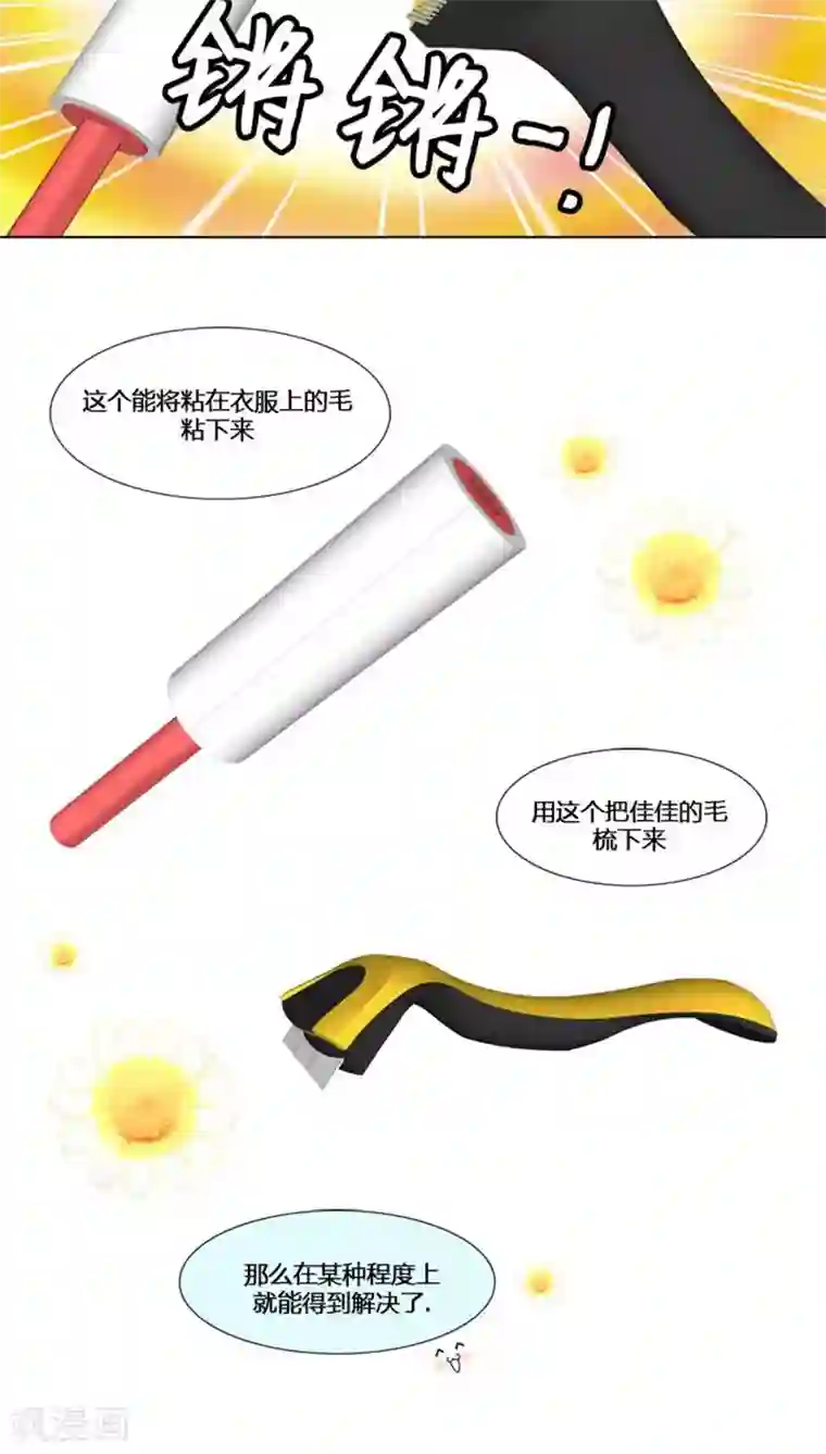 ICE-Cold要员的捡猫事件第56话