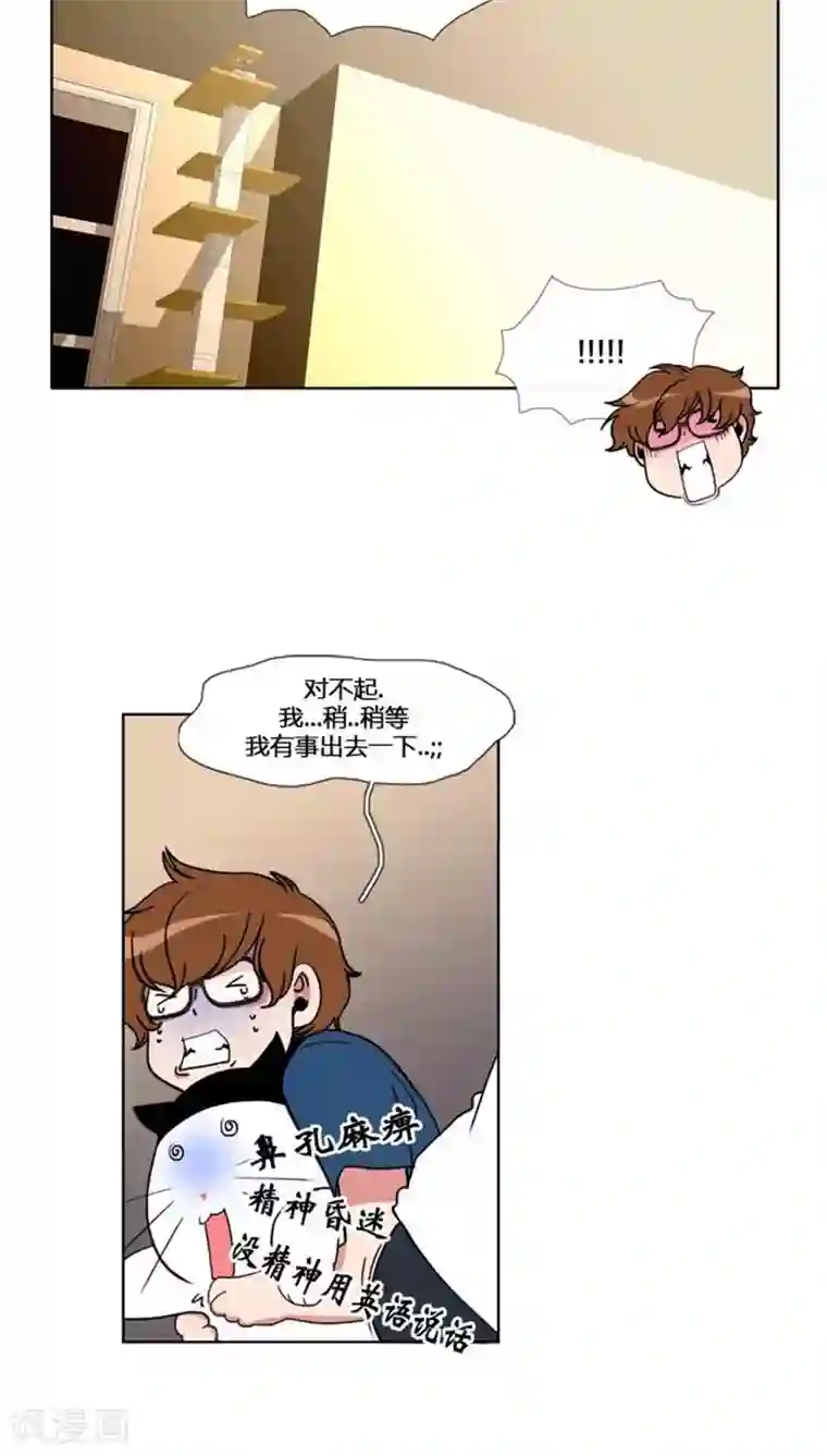 ICE-Cold要员的捡猫事件第56话