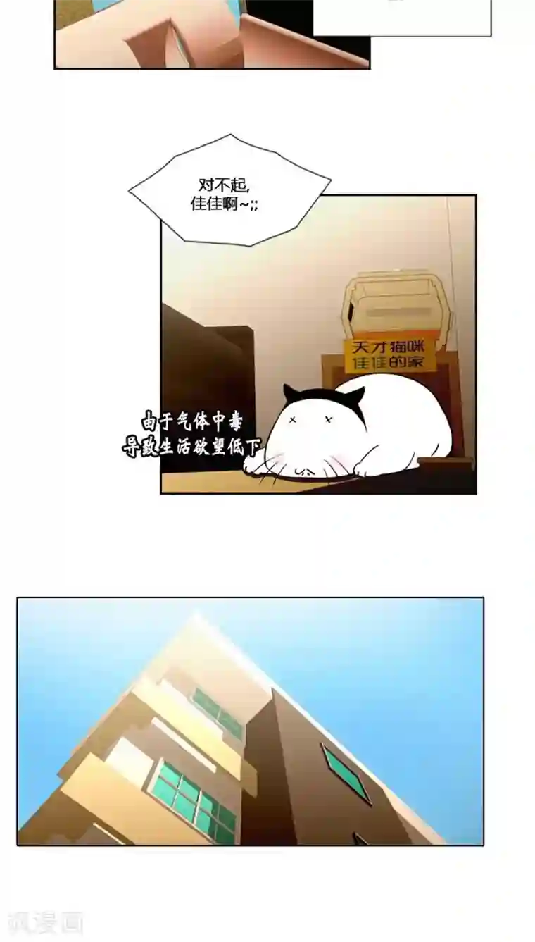 ICE-Cold要员的捡猫事件第56话