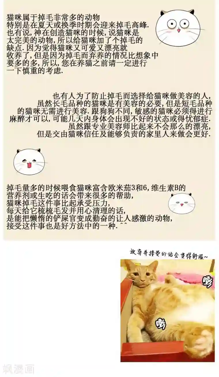 ICE-Cold要员的捡猫事件第56话