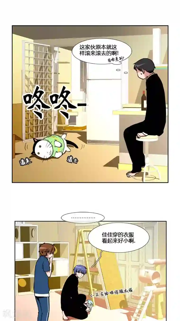 ICE-Cold要员的捡猫事件第57话