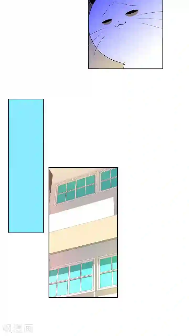 ICE-Cold要员的捡猫事件第57话