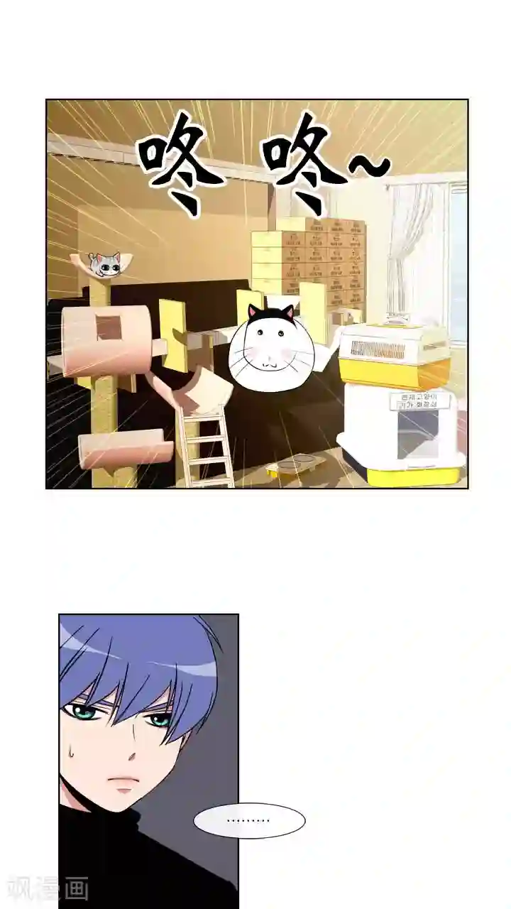 ICE-Cold要员的捡猫事件第57话