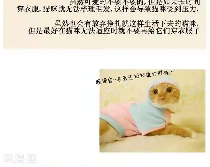 ICE-Cold要员的捡猫事件第57话