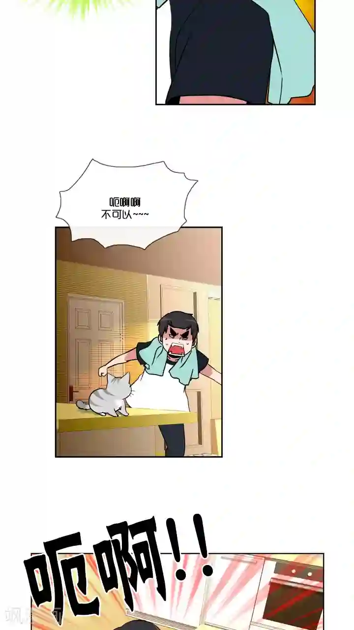 ICE-Cold要员的捡猫事件第58话