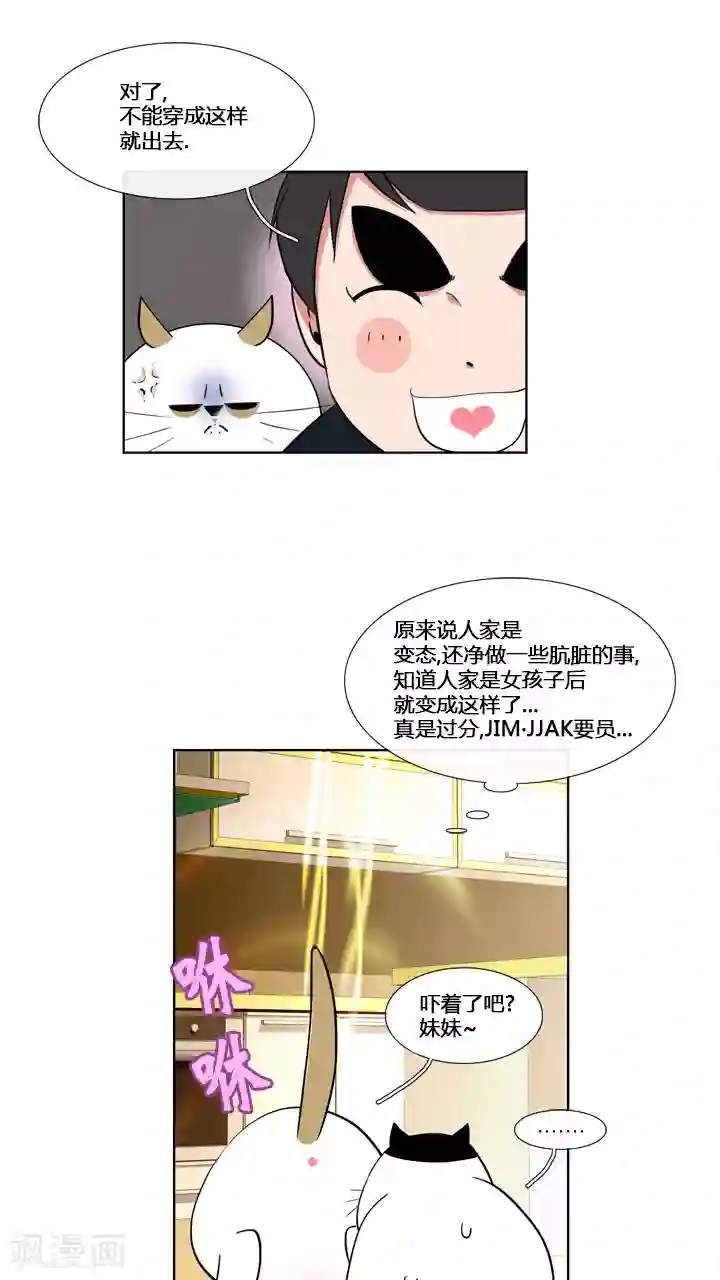 ICE-Cold要员的捡猫事件第58话