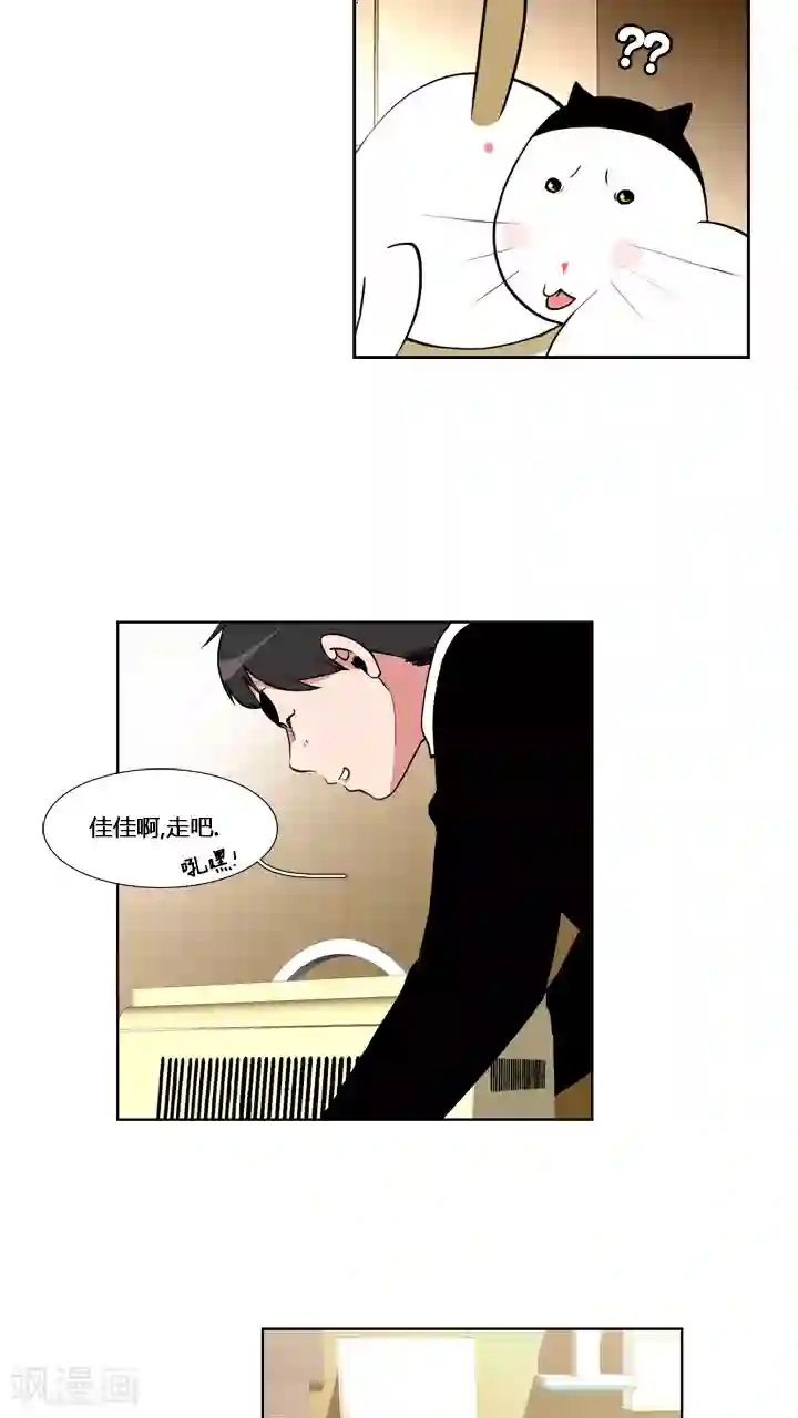 ICE-Cold要员的捡猫事件第58话