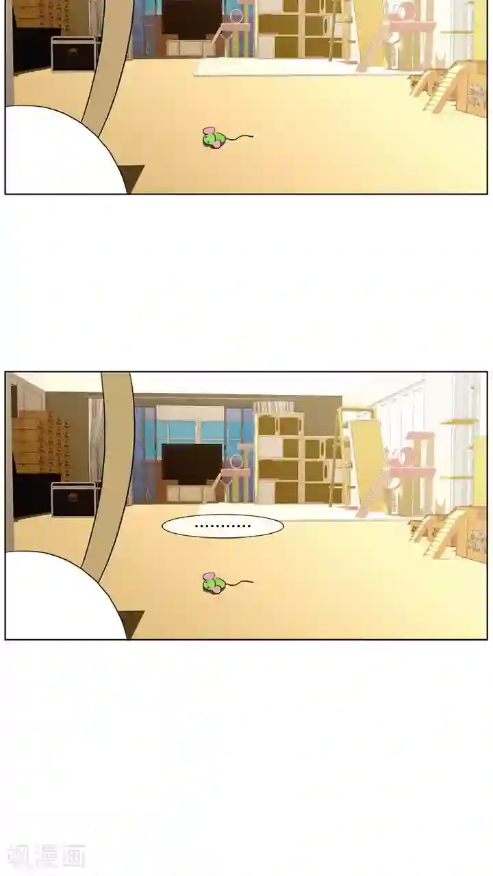 ICE-Cold要员的捡猫事件第58话