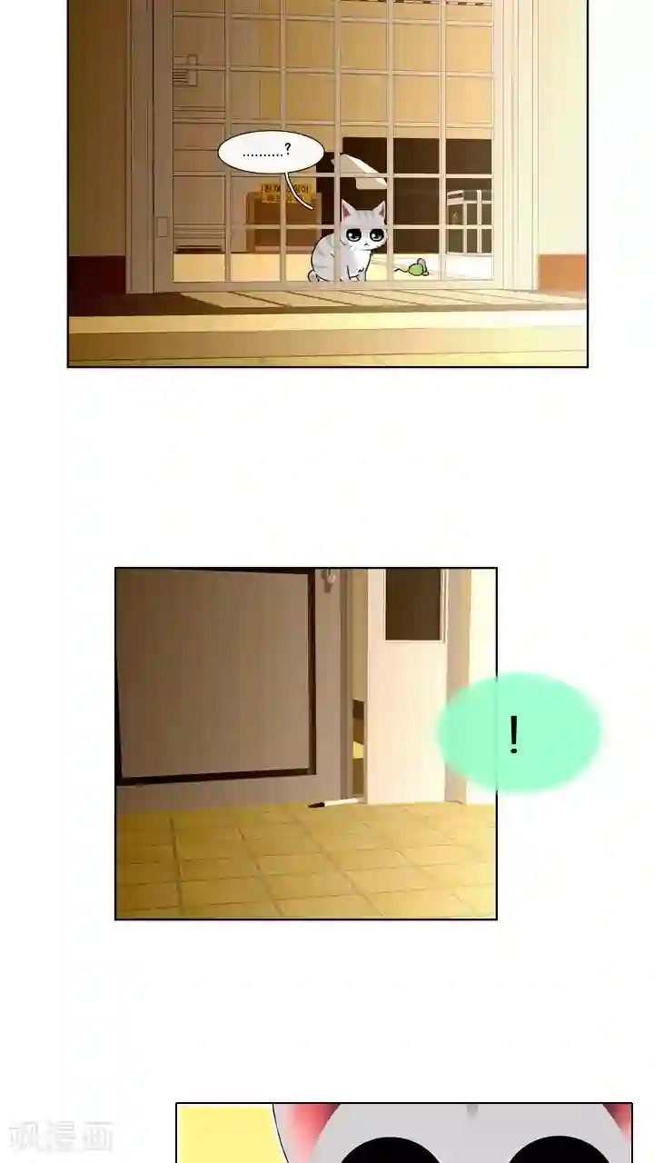 ICE-Cold要员的捡猫事件第58话