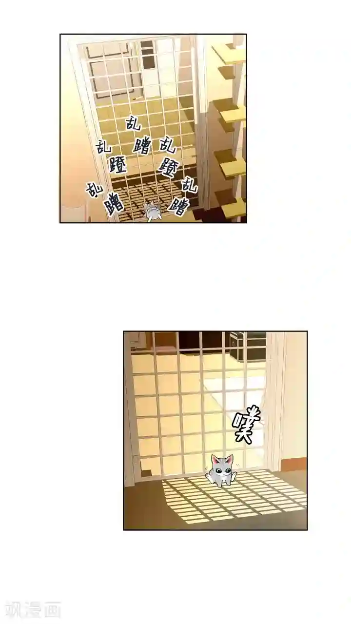 ICE-Cold要员的捡猫事件第58话