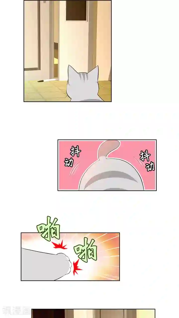 ICE-Cold要员的捡猫事件第58话