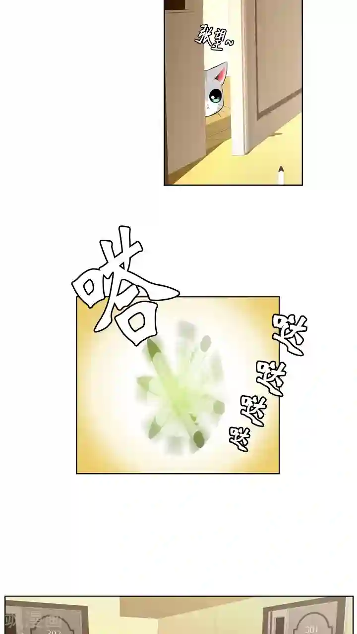 ICE-Cold要员的捡猫事件第58话