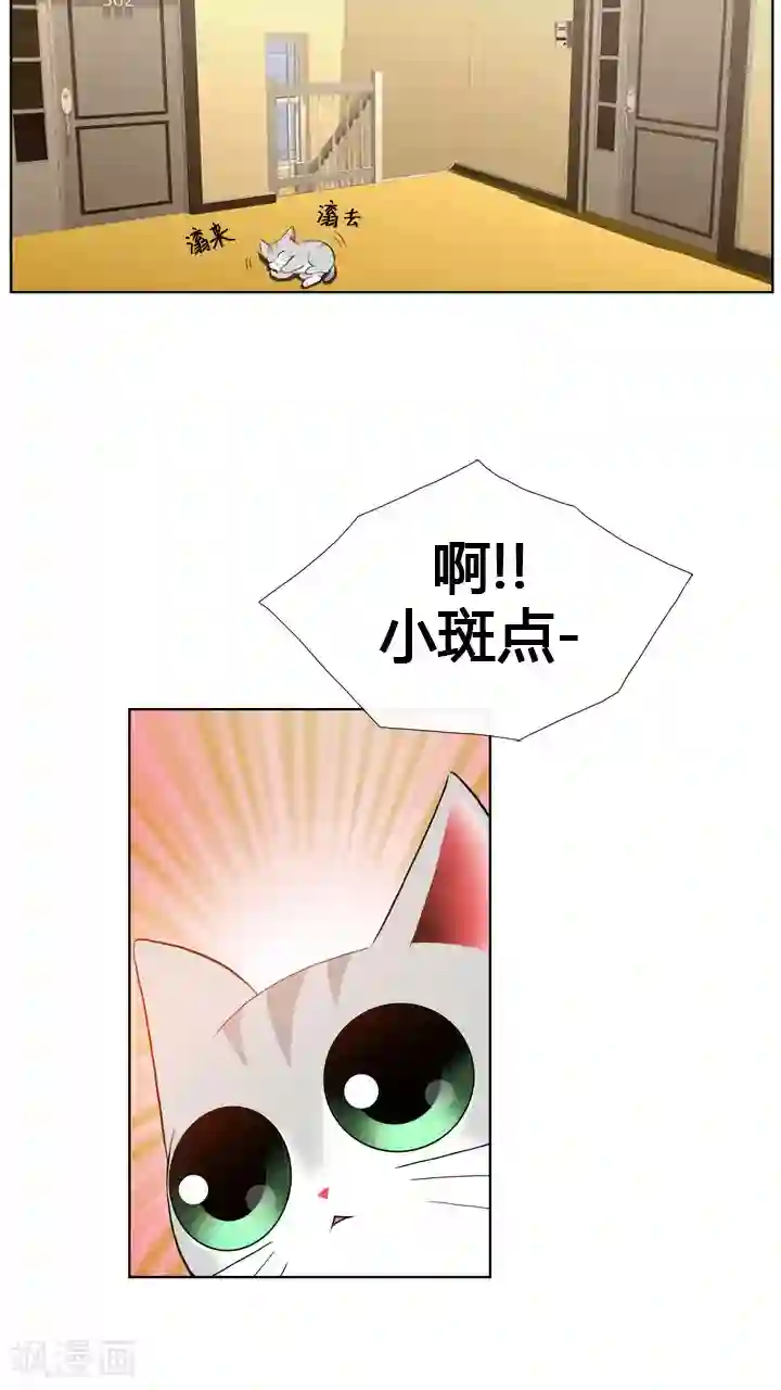 ICE-Cold要员的捡猫事件第58话