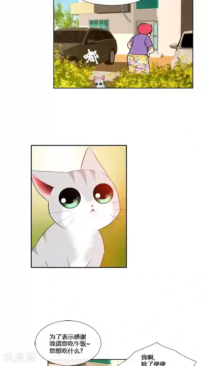 ICE-Cold要员的捡猫事件第58话