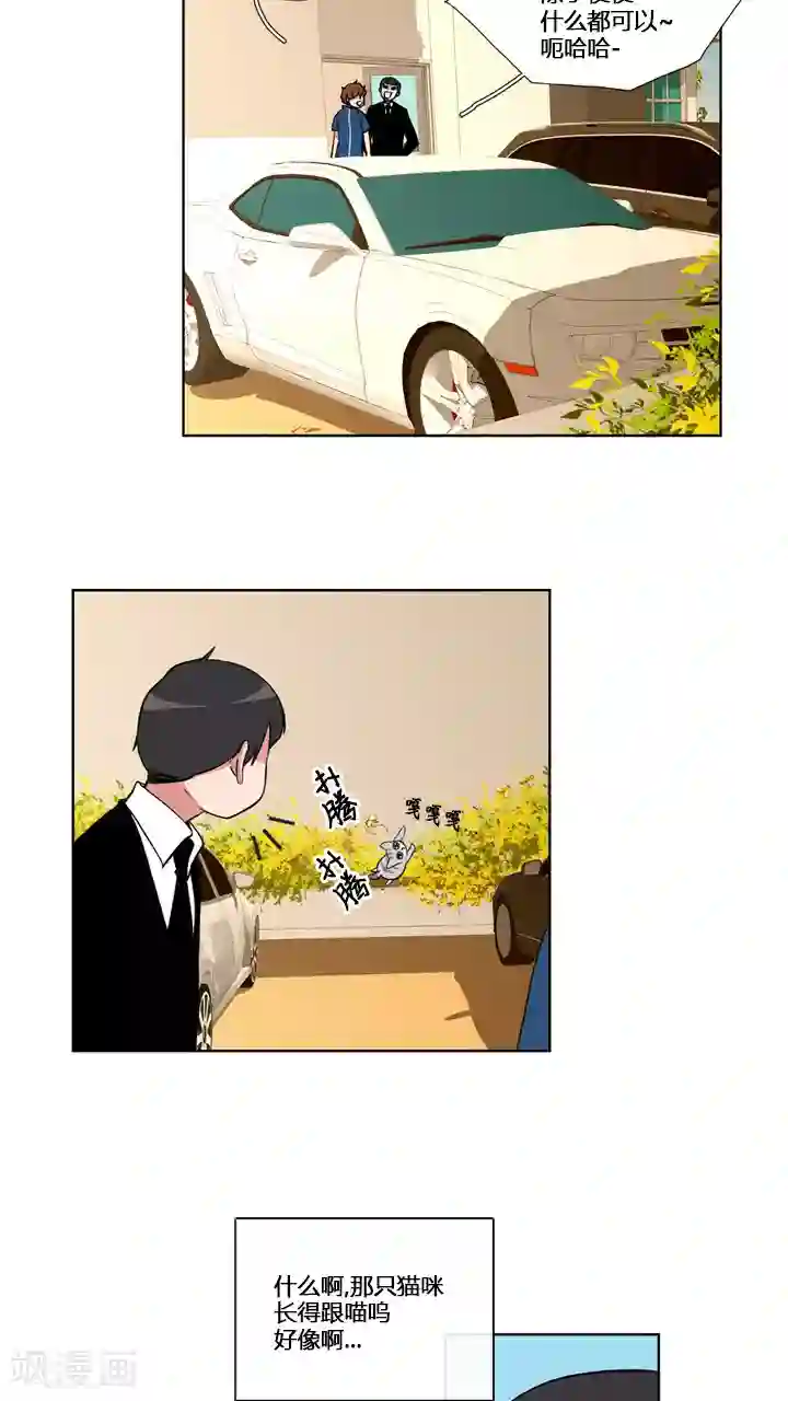 ICE-Cold要员的捡猫事件第58话