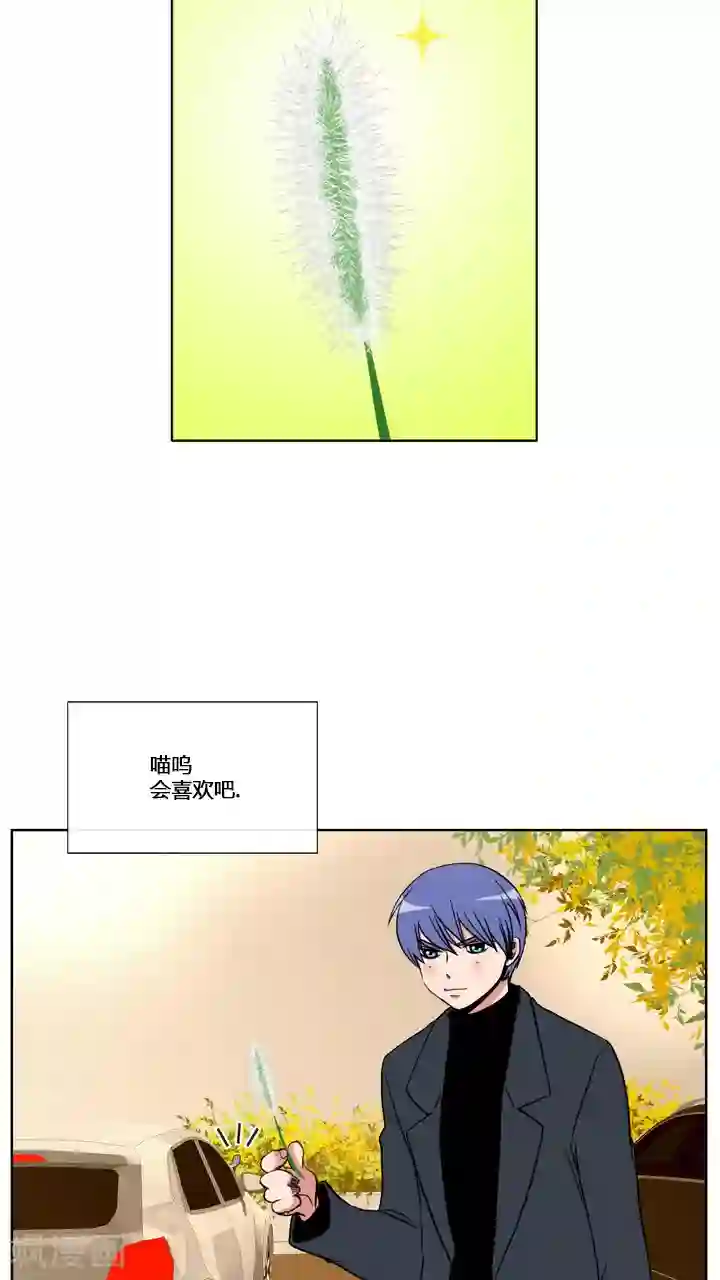 ICE-Cold要员的捡猫事件第58话