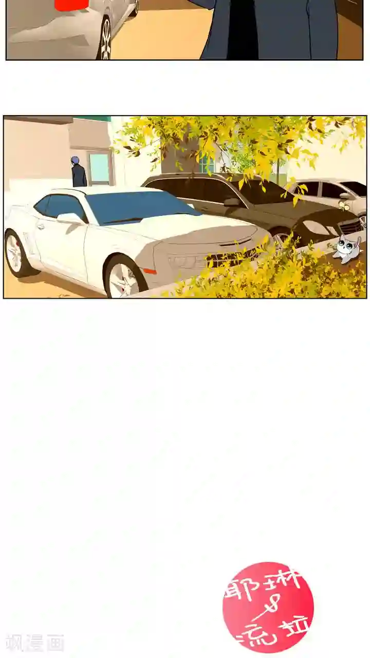 ICE-Cold要员的捡猫事件第58话