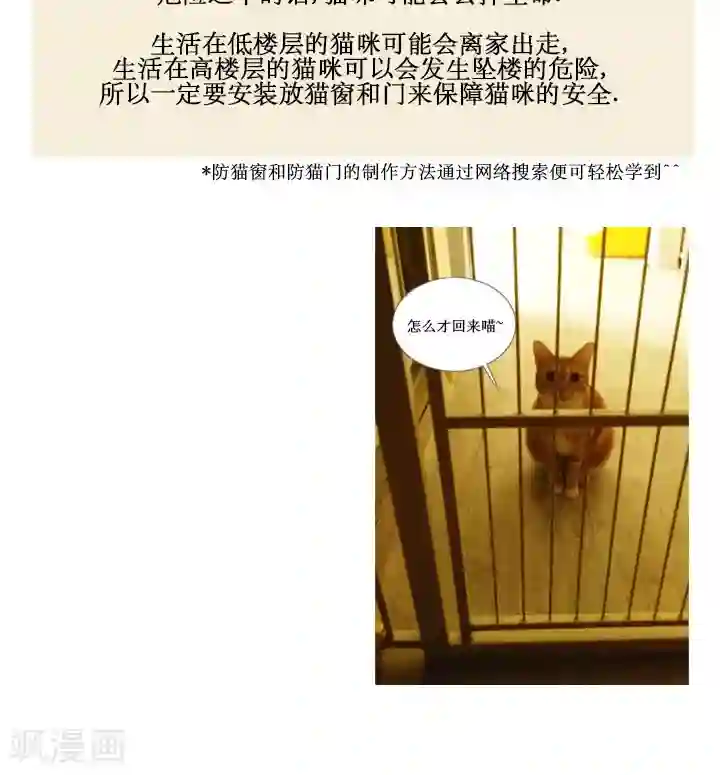 ICE-Cold要员的捡猫事件第58话