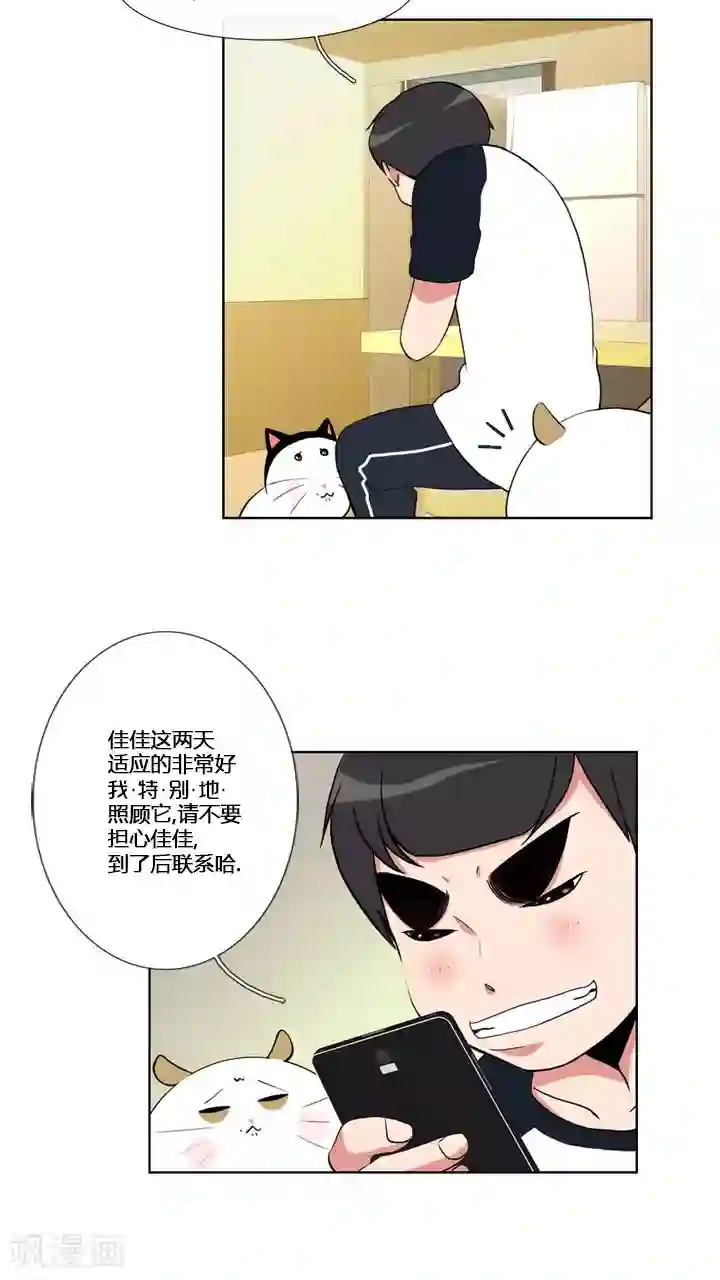 ICE-Cold要员的捡猫事件第58话