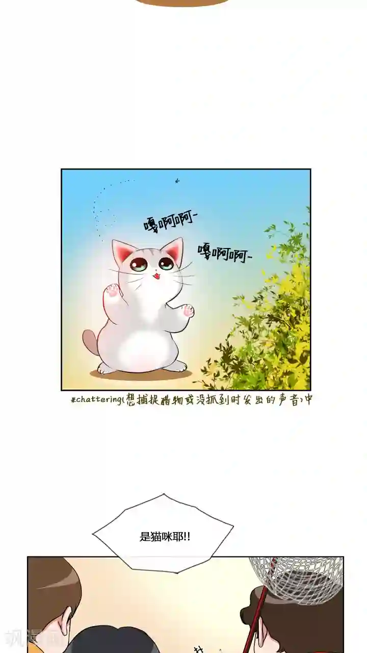 ICE-Cold要员的捡猫事件第59话