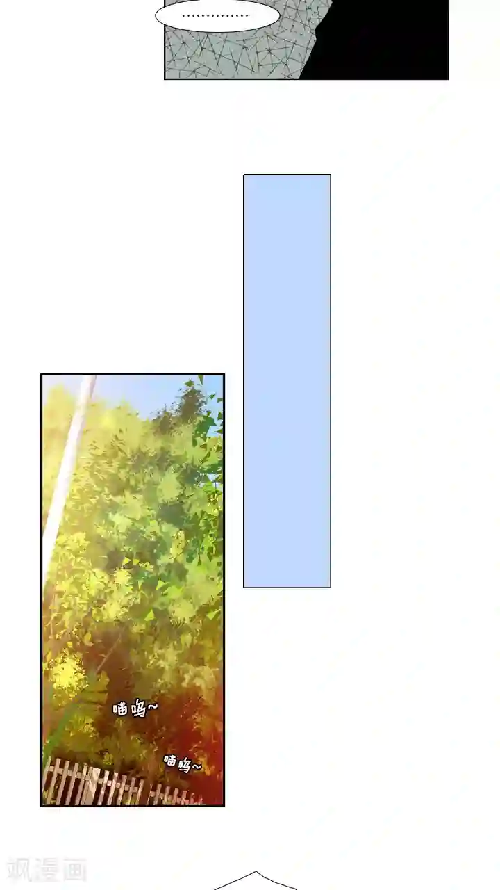 ICE-Cold要员的捡猫事件第59话