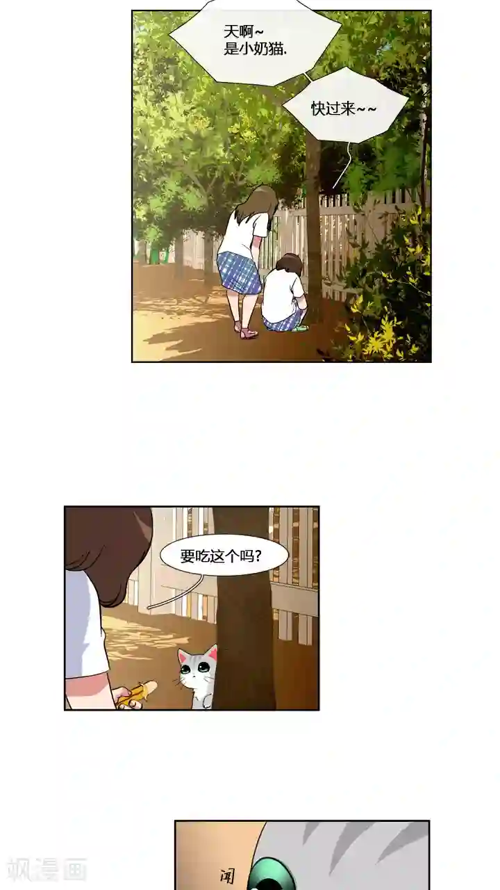 ICE-Cold要员的捡猫事件第59话