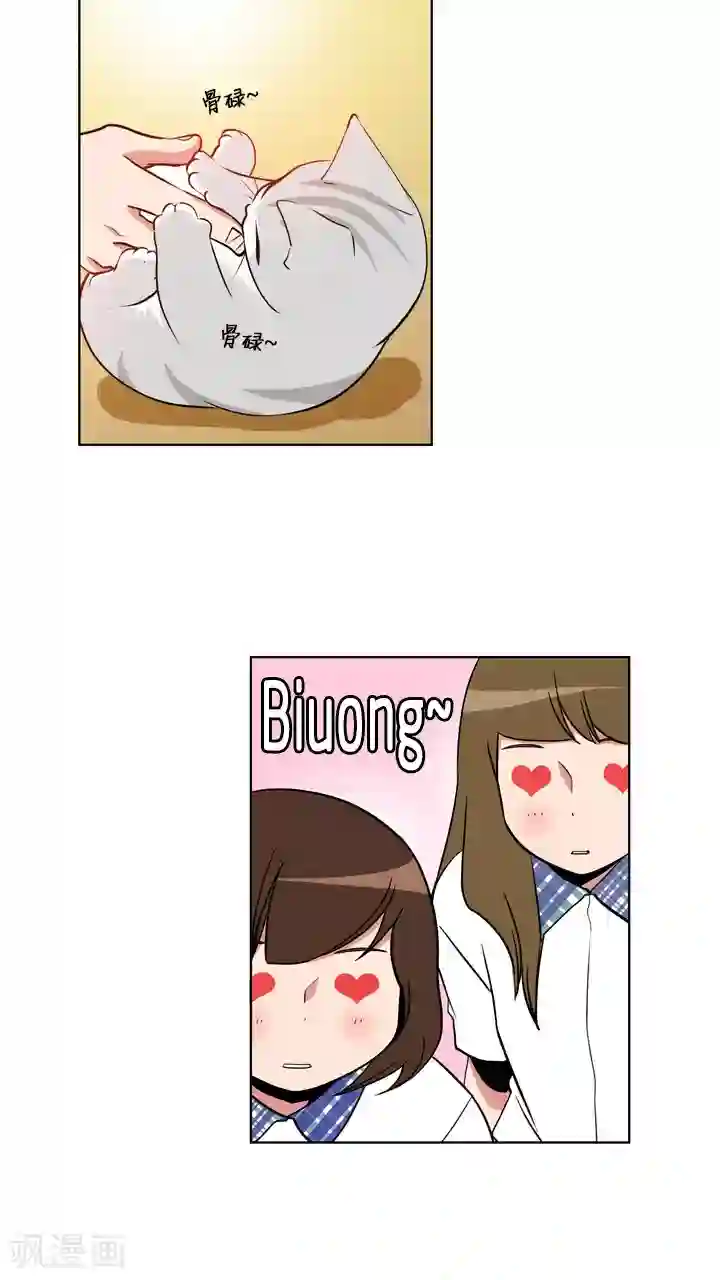 ICE-Cold要员的捡猫事件第59话