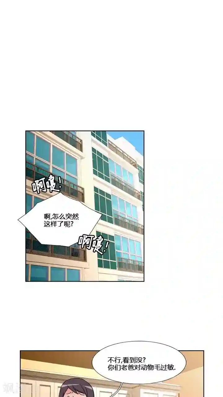 ICE-Cold要员的捡猫事件第59话