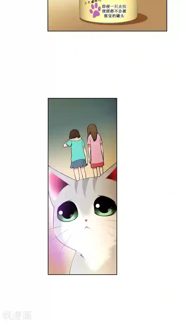 ICE-Cold要员的捡猫事件第59话