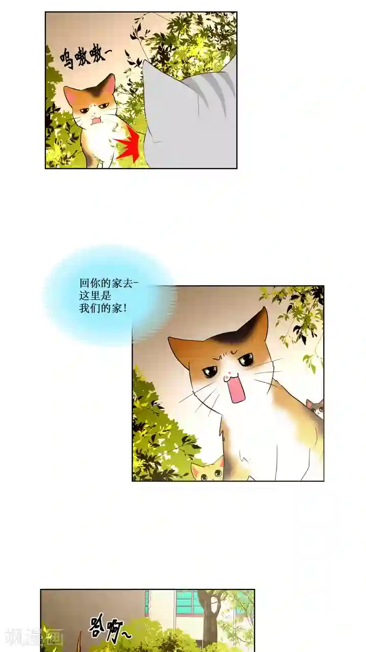 ICE-Cold要员的捡猫事件第59话