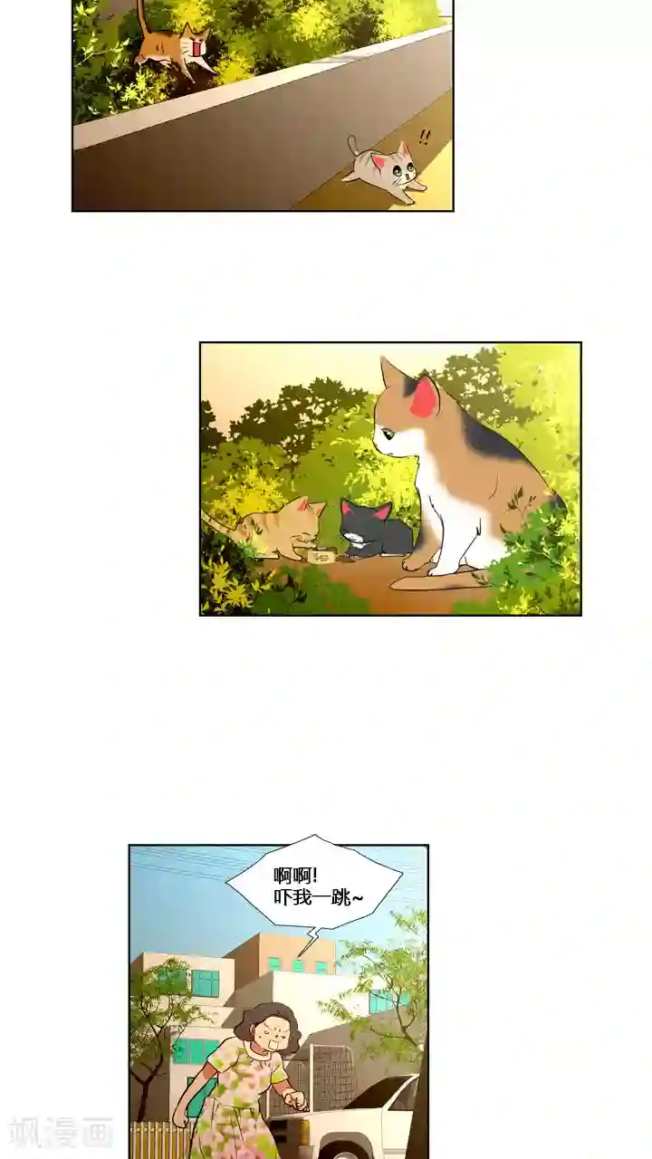 ICE-Cold要员的捡猫事件第59话