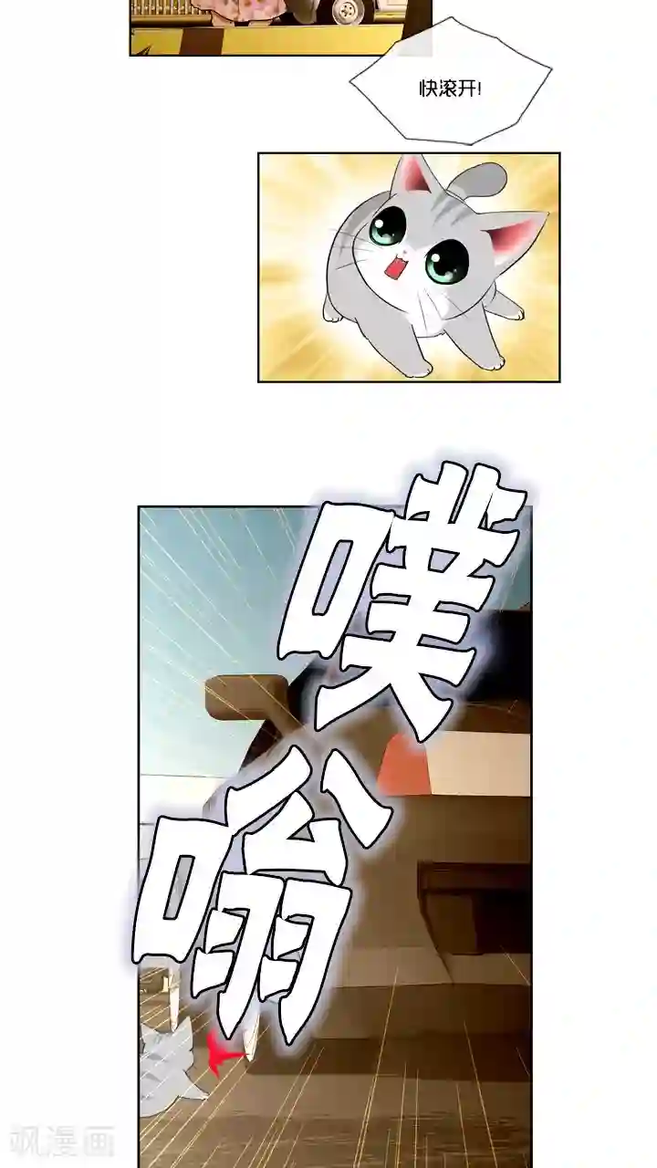 ICE-Cold要员的捡猫事件第59话