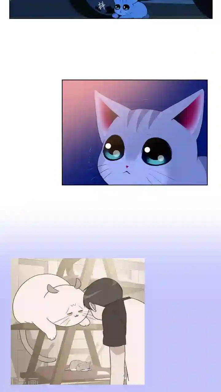 ICE-Cold要员的捡猫事件第59话