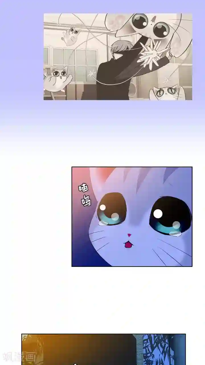 ICE-Cold要员的捡猫事件第59话