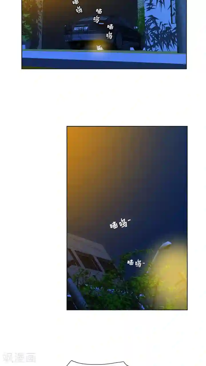 ICE-Cold要员的捡猫事件第59话