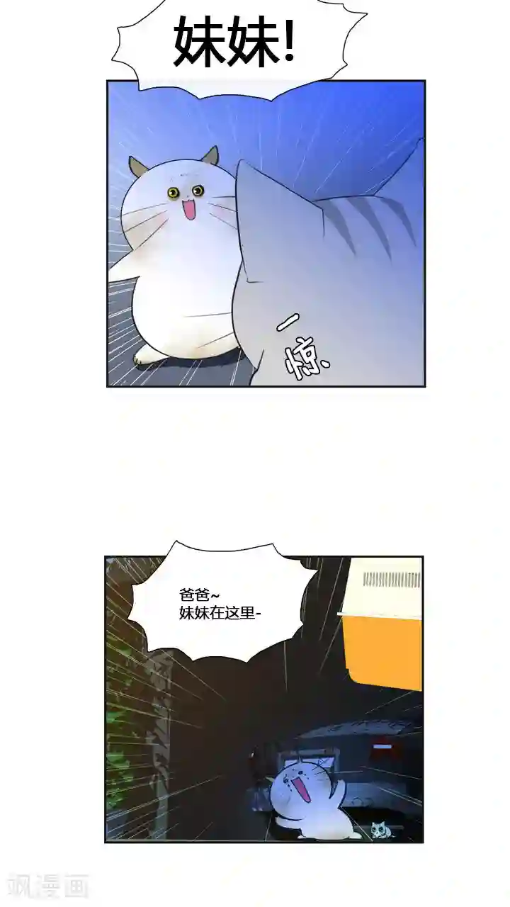 ICE-Cold要员的捡猫事件第59话