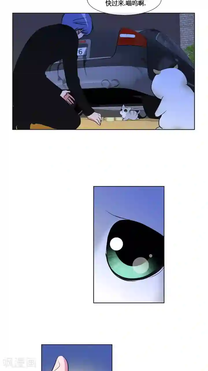 ICE-Cold要员的捡猫事件第59话