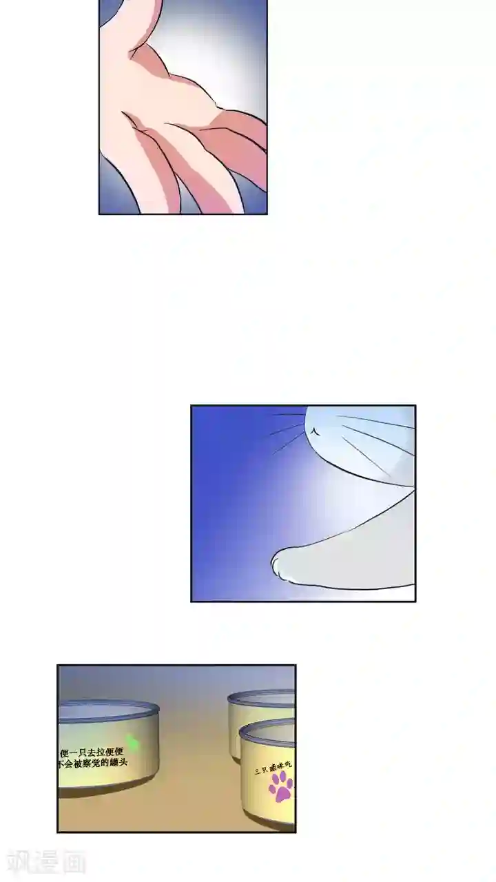 ICE-Cold要员的捡猫事件第59话