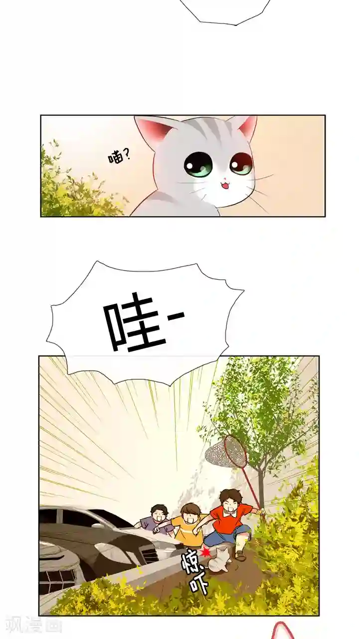 ICE-Cold要员的捡猫事件第59话