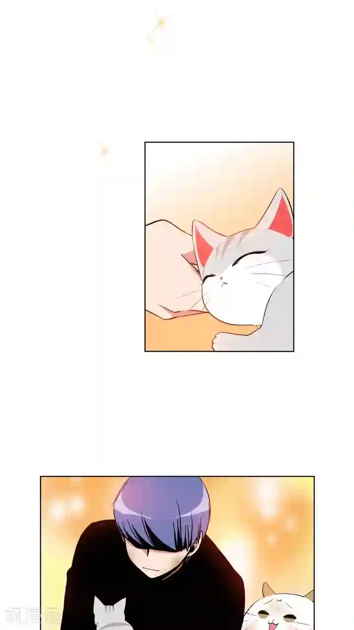 ICE-Cold要员的捡猫事件第59话