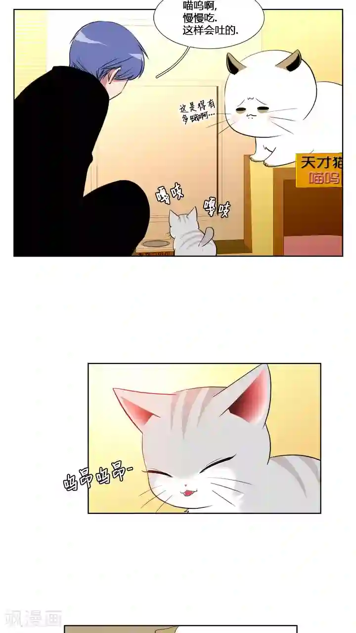 ICE-Cold要员的捡猫事件第59话