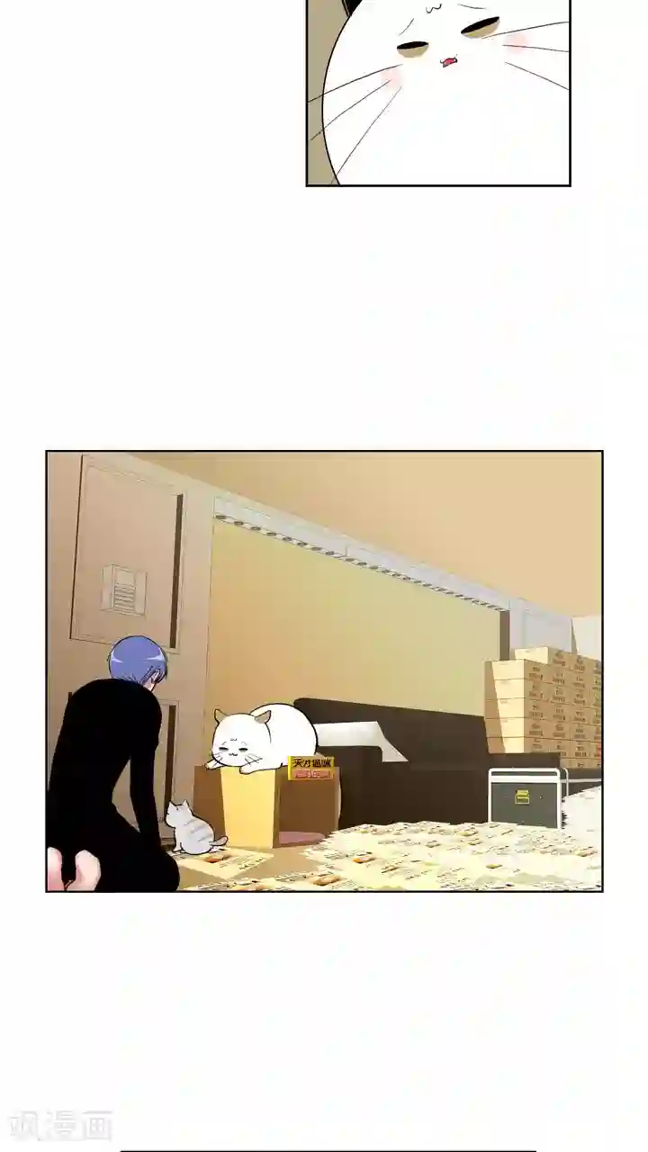 ICE-Cold要员的捡猫事件第59话
