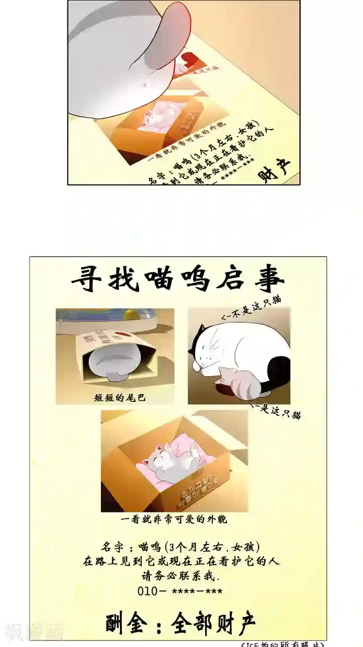ICE-Cold要员的捡猫事件第59话