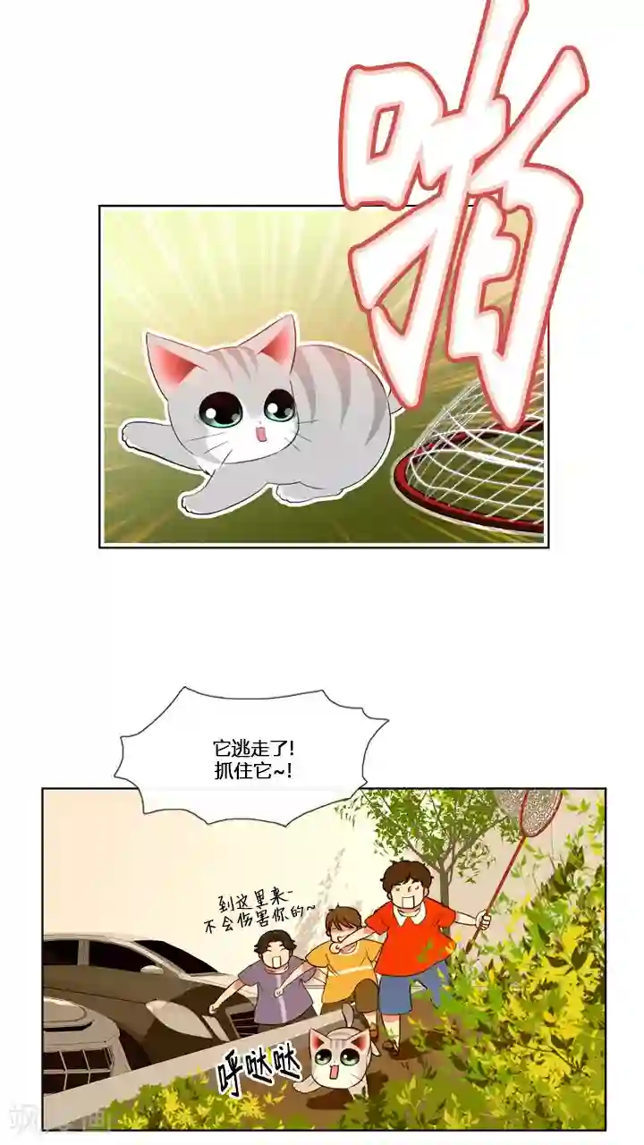 ICE-Cold要员的捡猫事件第59话