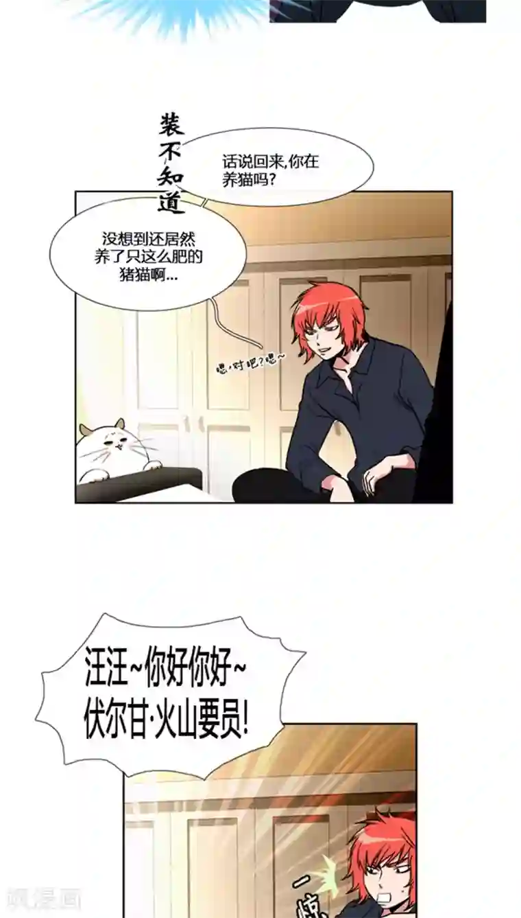 ICE-Cold要员的捡猫事件第60话